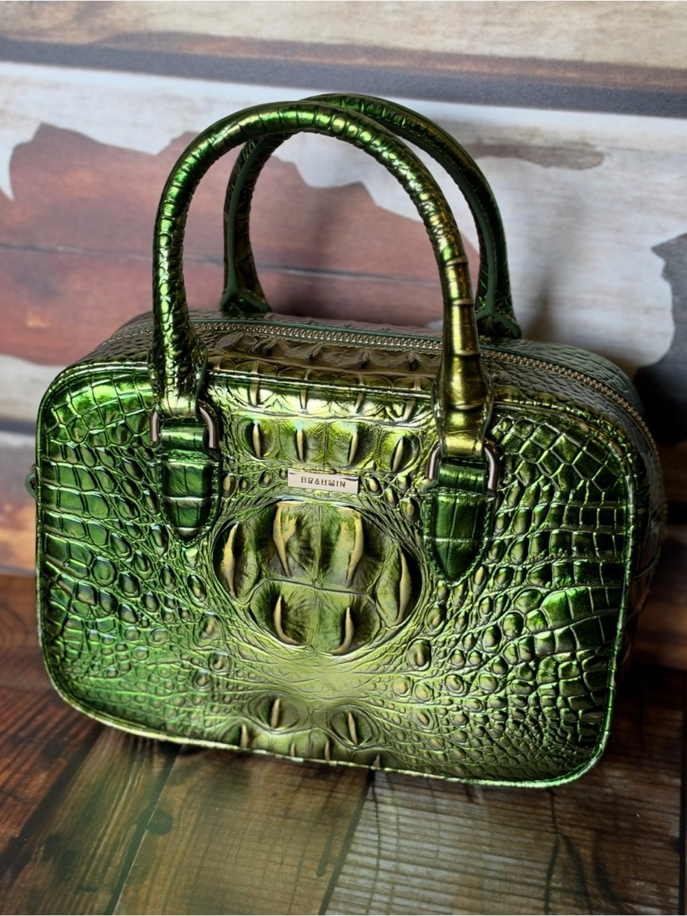 Firm ~~ 2x eyes Brahmin Mara Cacti Green Metallic Beauty NWT - Picture 12 of 16